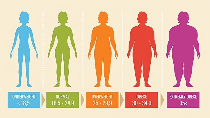 chi-so-bmi
